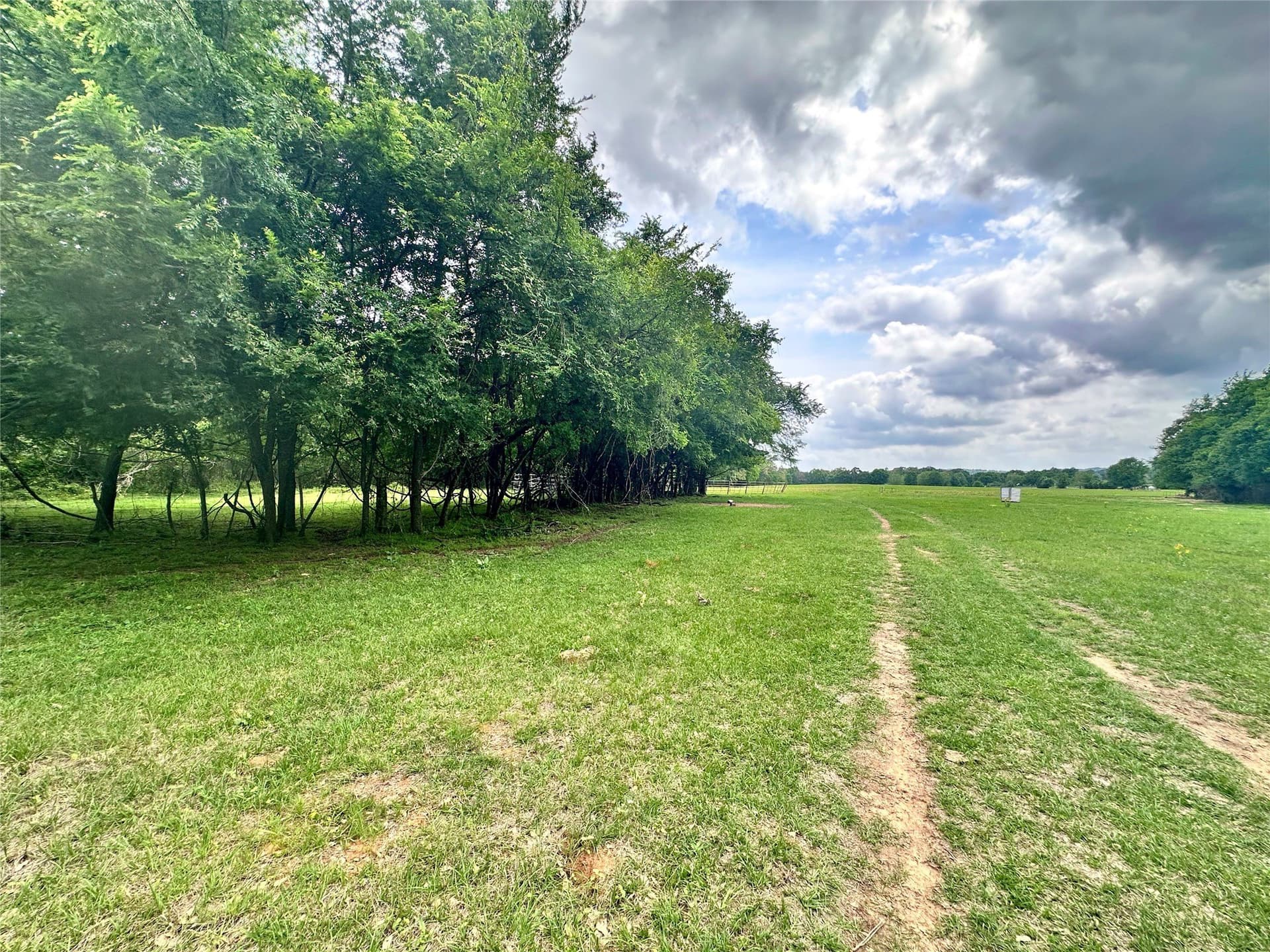 32.55 acres in Anderson County - photo 13