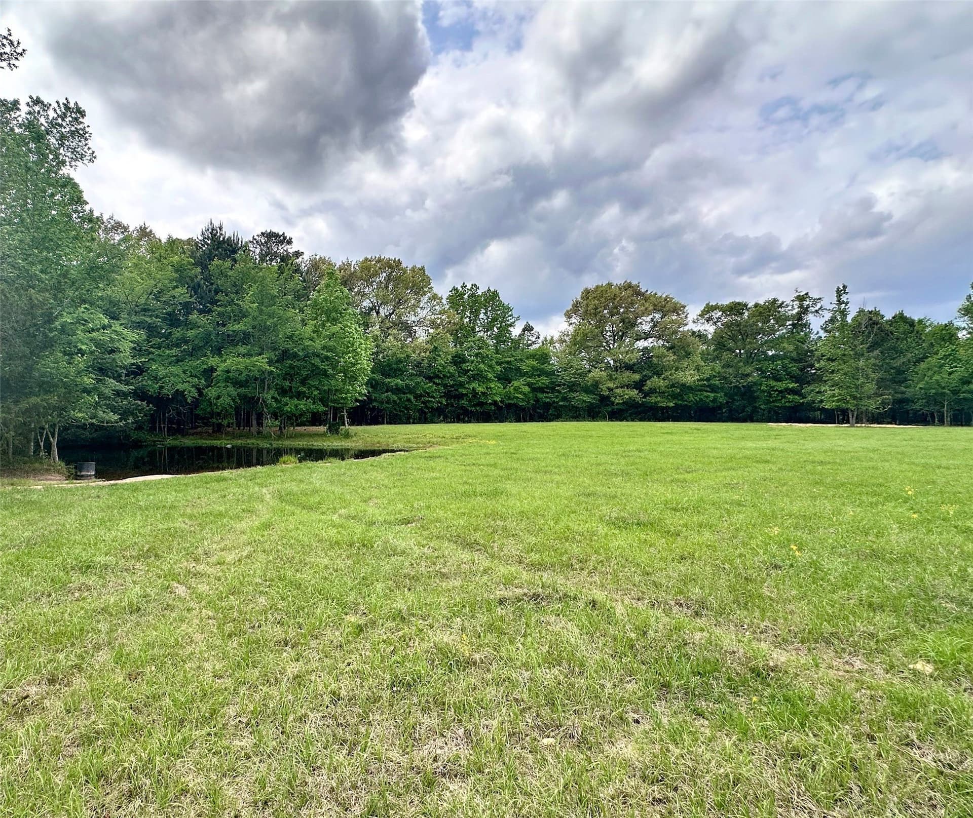 32.55 acres in Anderson County - photo 15