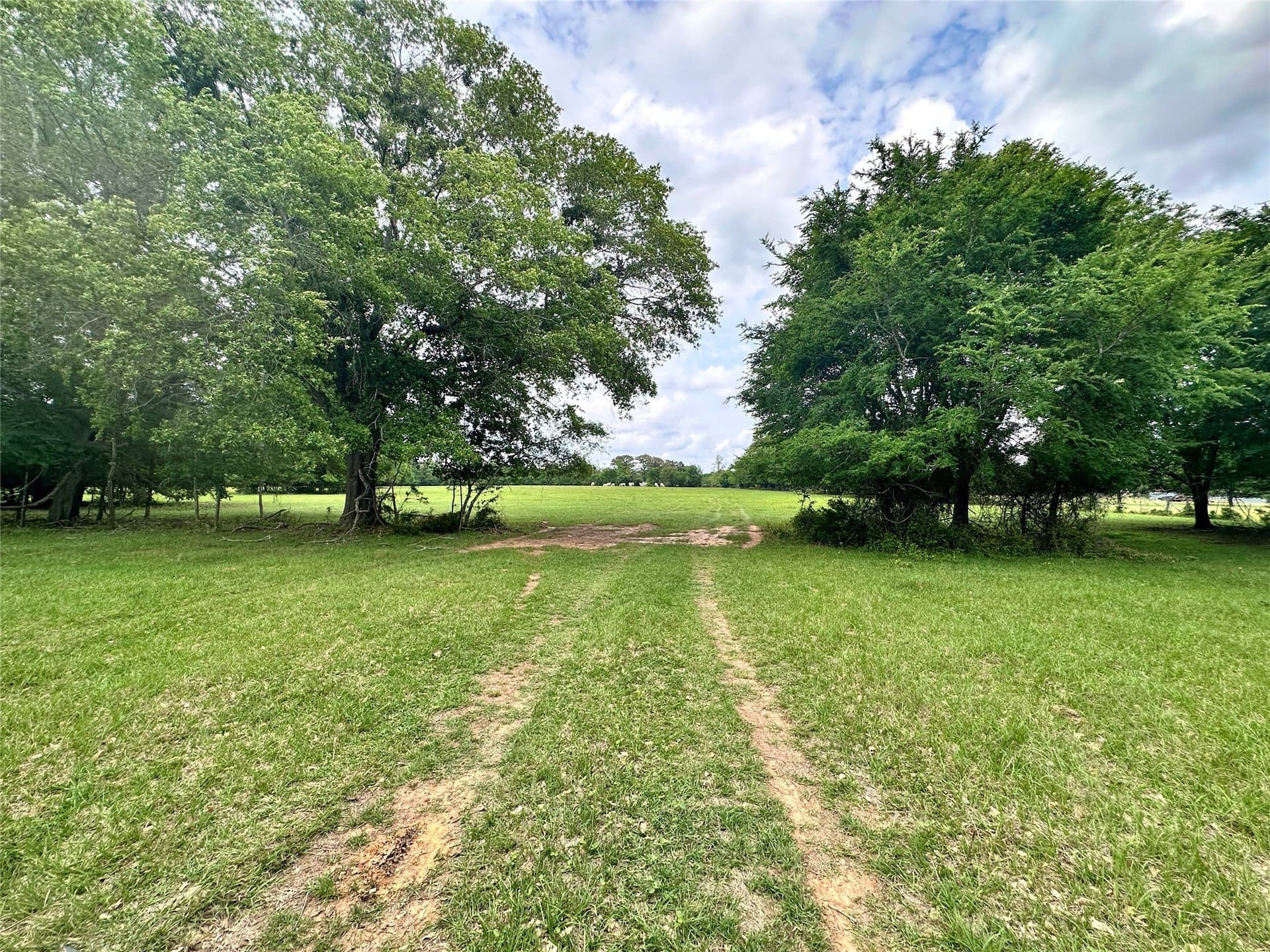 32.55 acres in Anderson County - photo 14