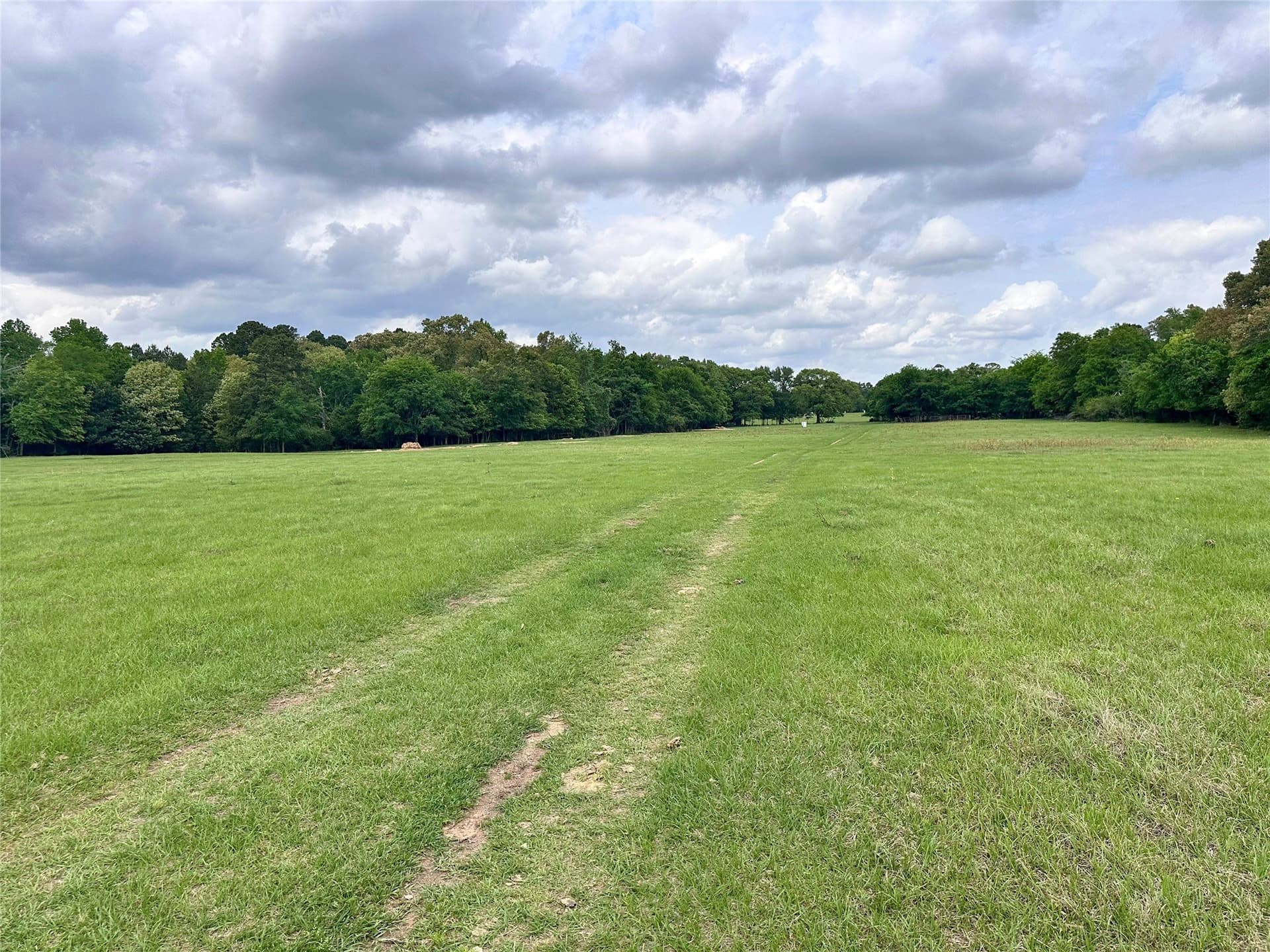 32.55 acres in Anderson County - photo 7
