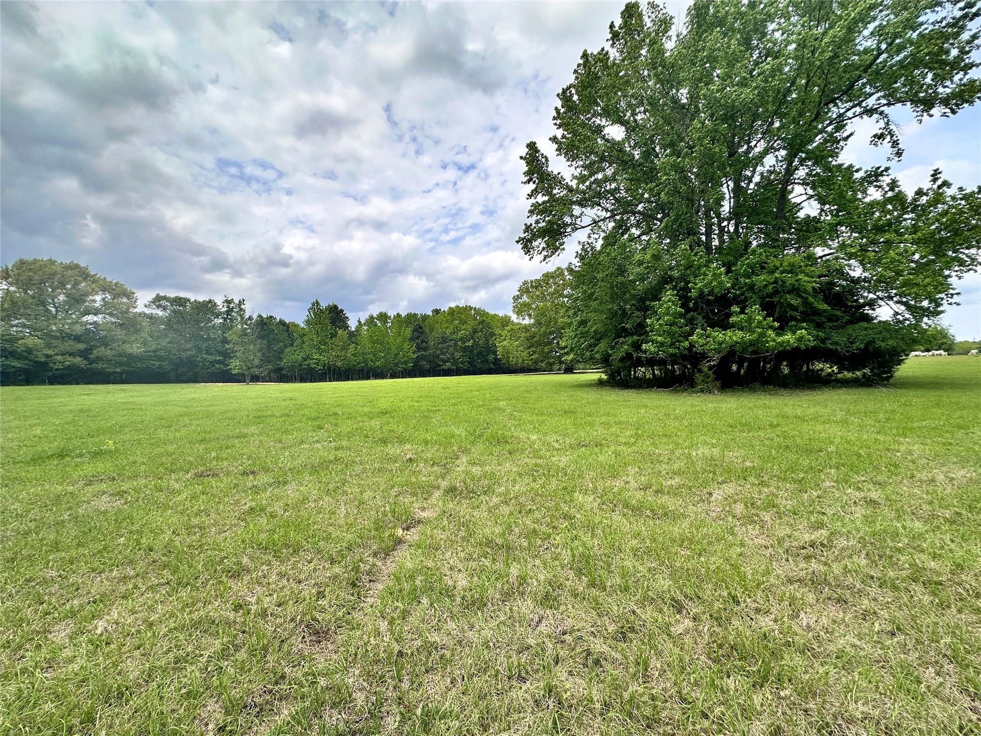 32.55 acres in Anderson County - photo 16
