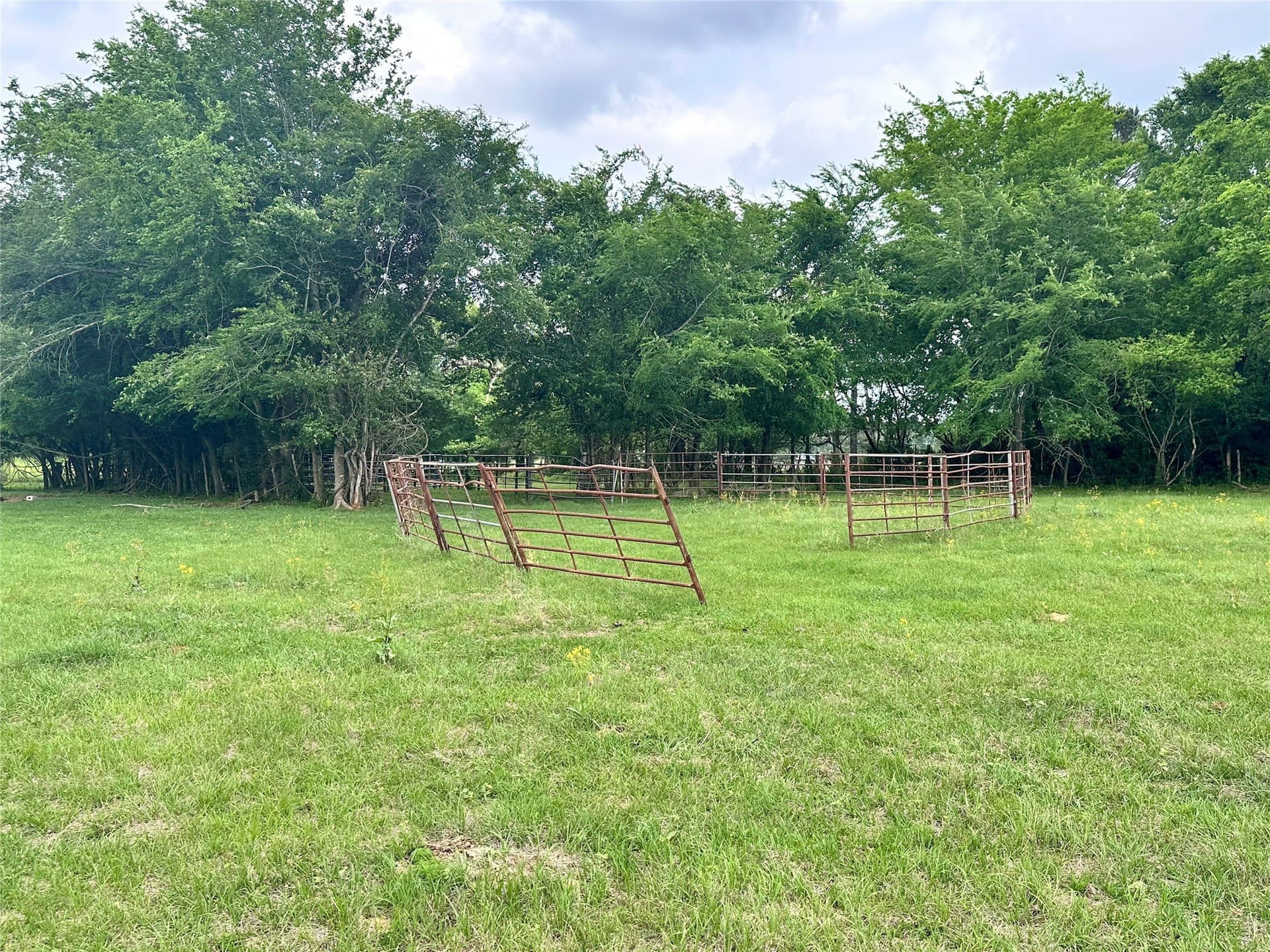 32.55 acres in Anderson County - photo 10