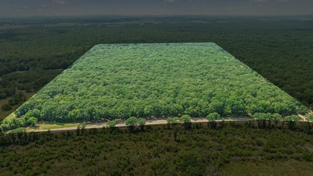 27 acres in Red River (TX) County gallery image 4