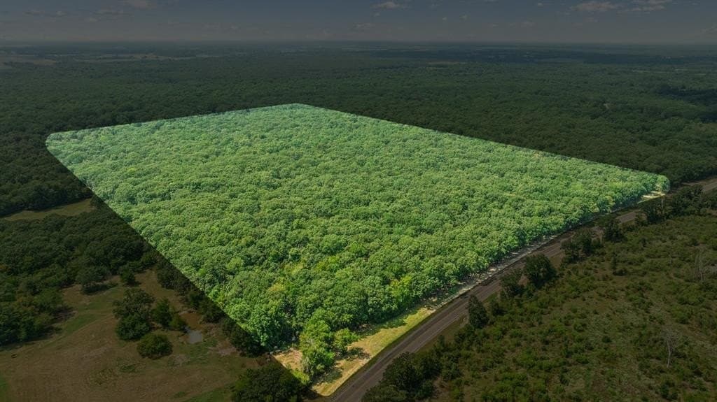 27 acres in Red River (TX) County gallery image 2