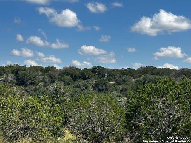 91.36 acres in Edwards County gallery image 4