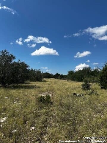 91.36 acres in Edwards County gallery image 2
