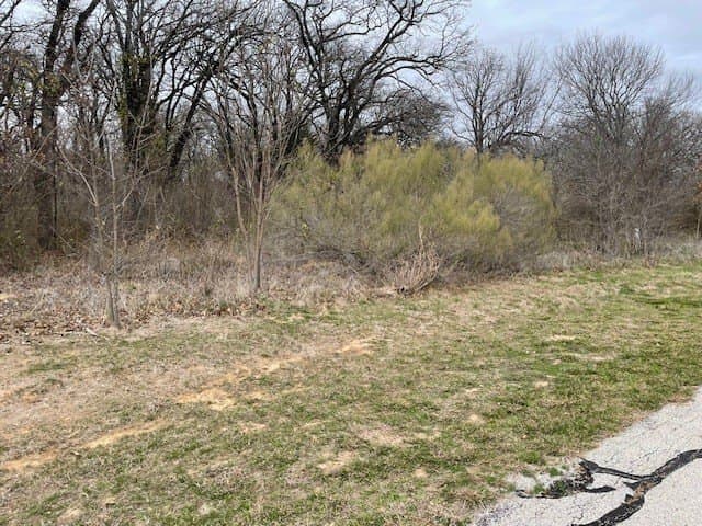 1.17 acres in Kaufman County gallery image 3