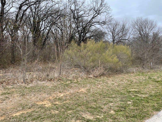 1.17 acres in Kaufman County gallery image 4