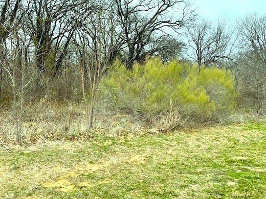 1.17 acres in Kaufman County - photo 6