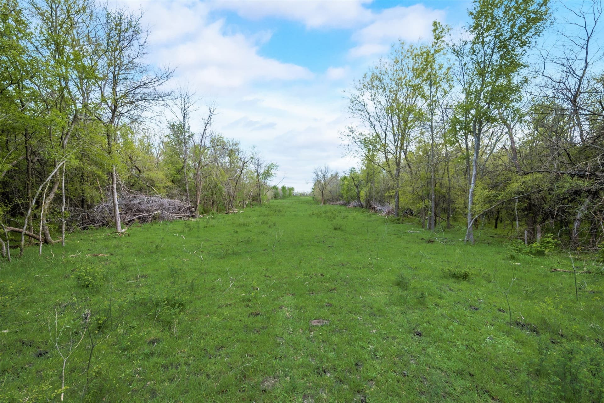 100 acres in Kaufman County - photo 7
