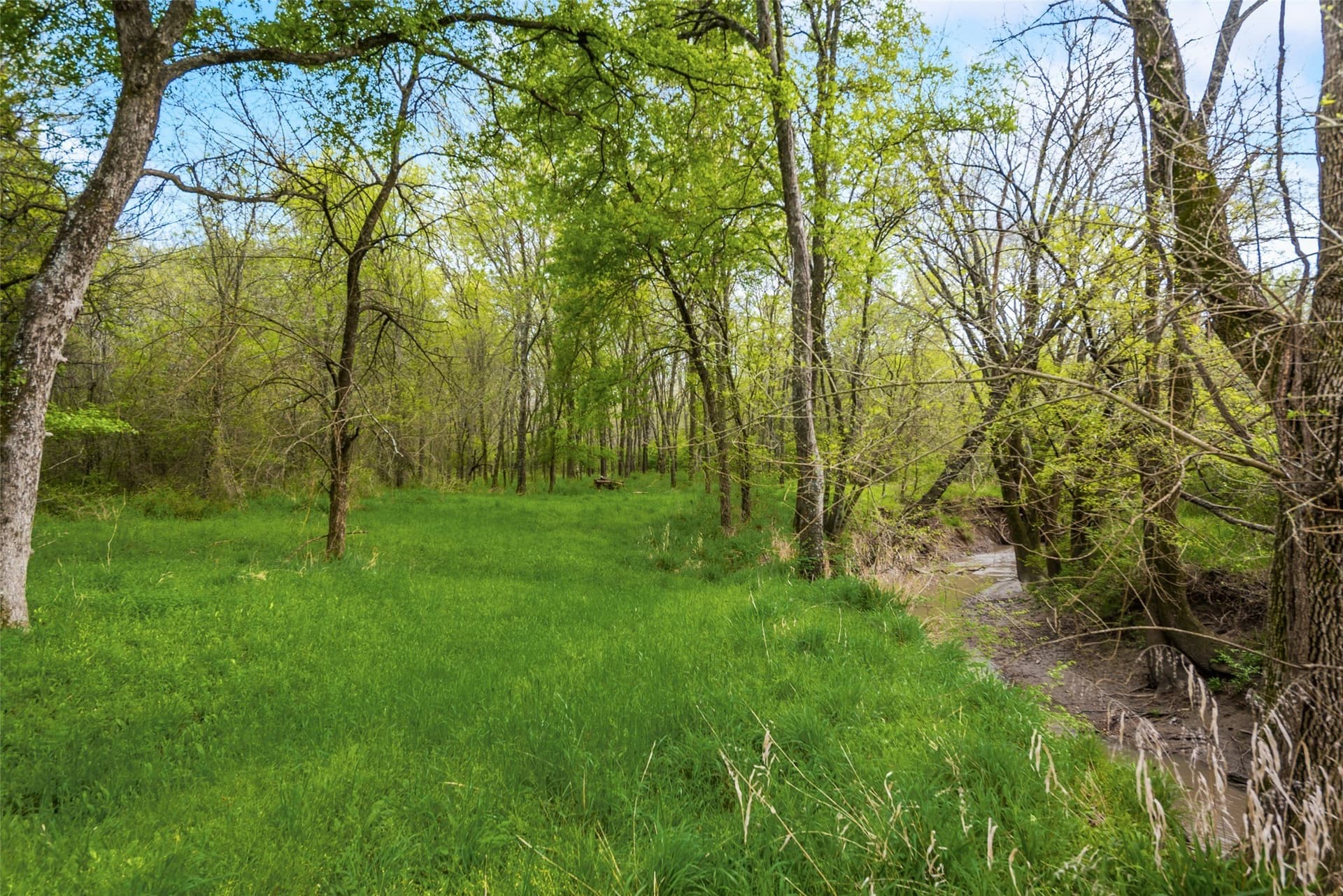 100 acres in Kaufman County featured view