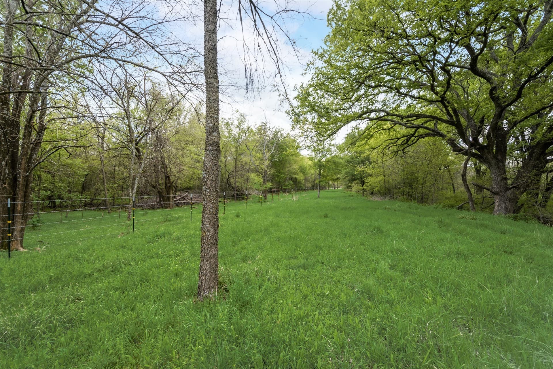 100 acres in Kaufman County gallery image 2