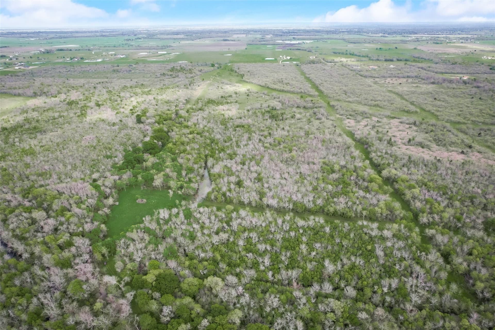100 acres in Kaufman County - photo 12