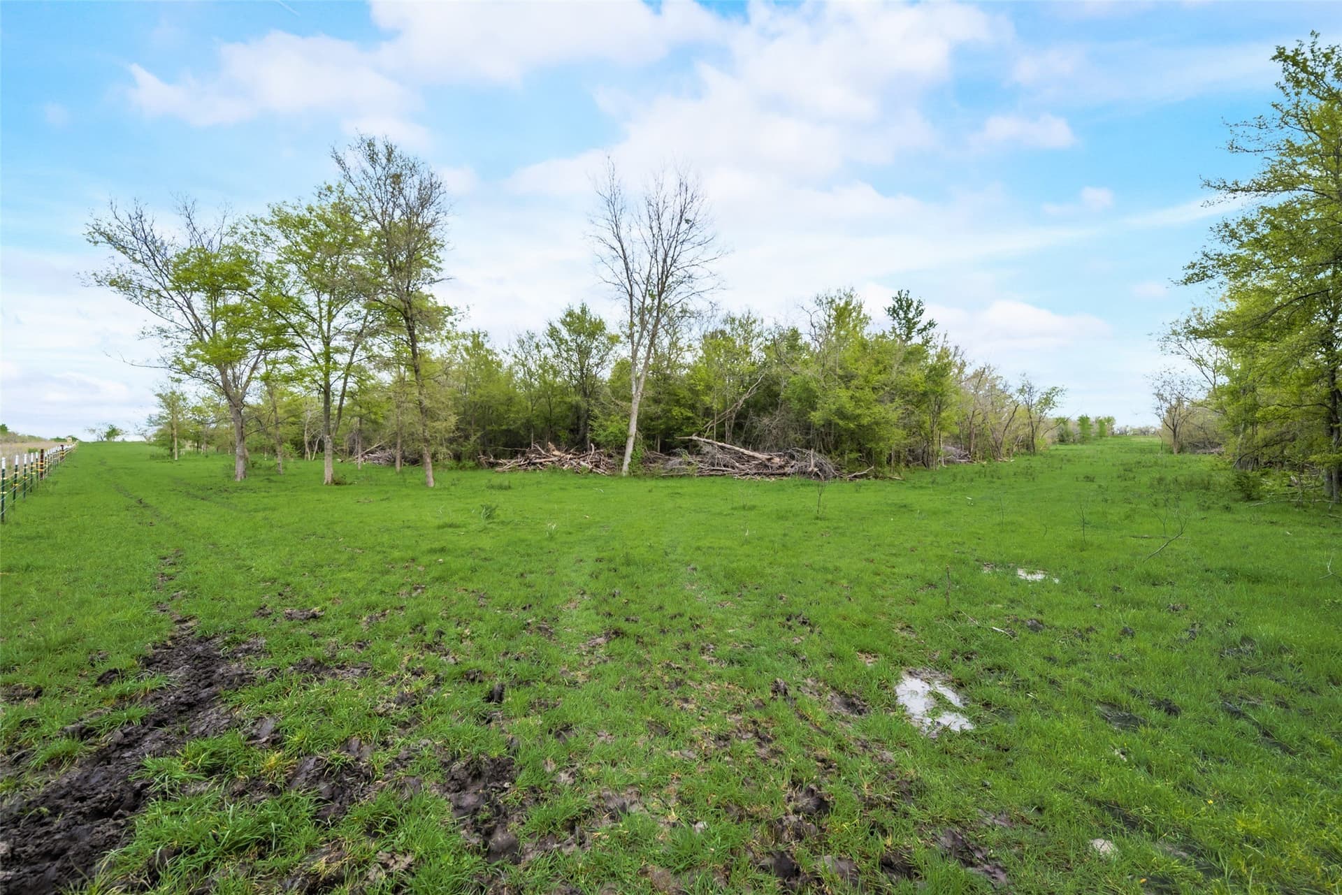 100 acres in Kaufman County - photo 8