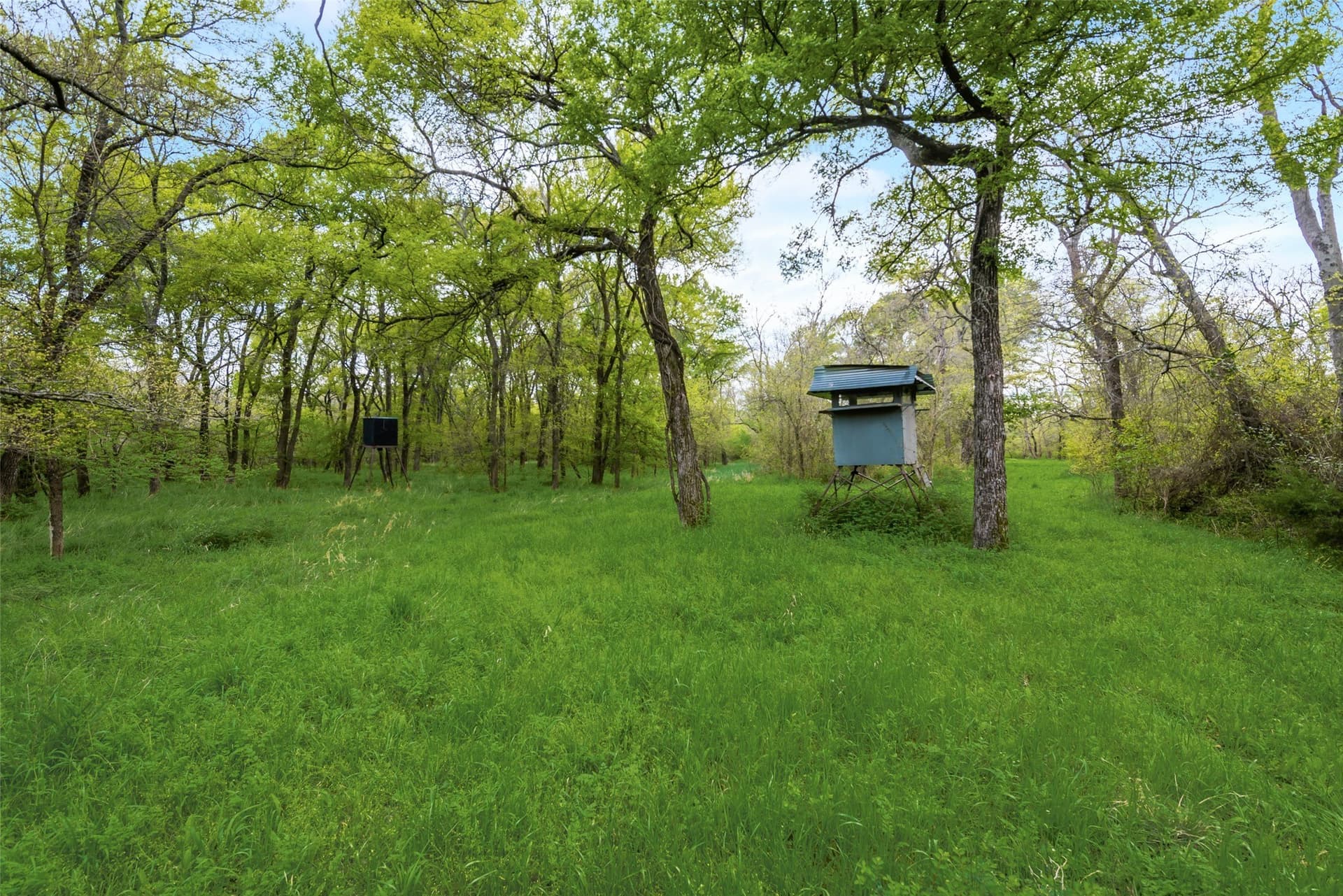 100 acres in Kaufman County gallery image 4