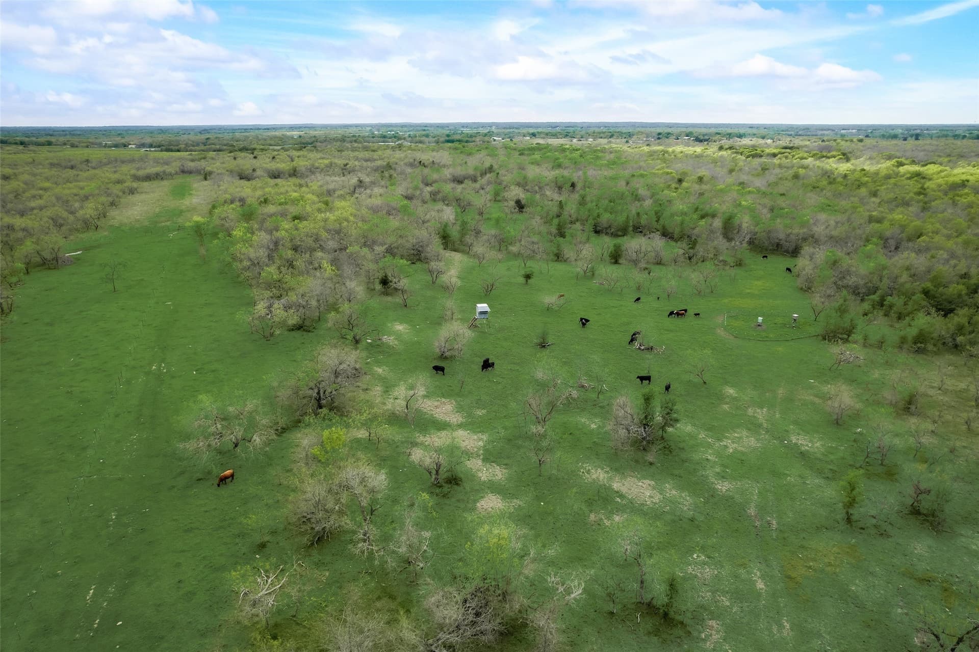 100 acres in Kaufman County