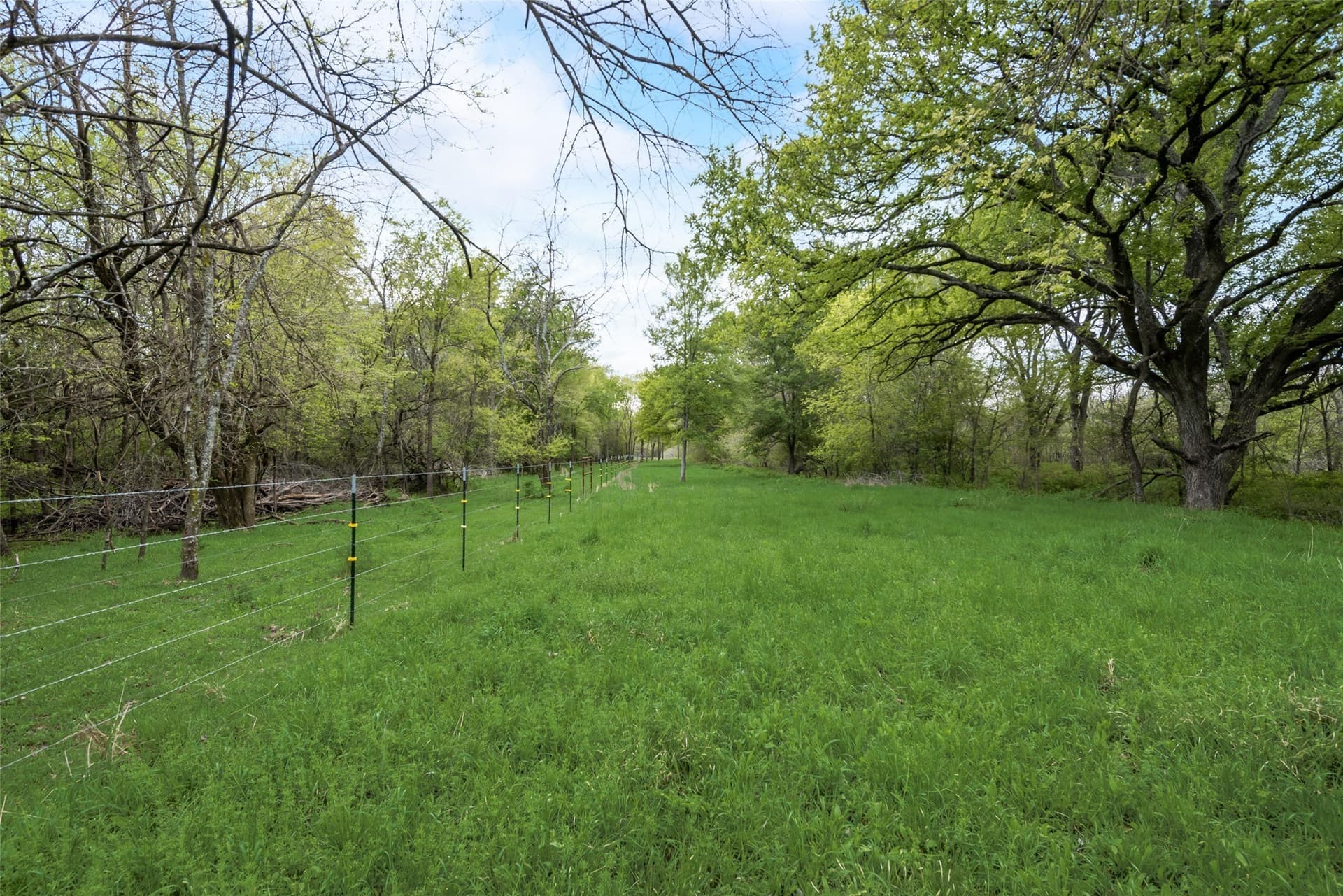 100 acres in Kaufman County gallery image 3