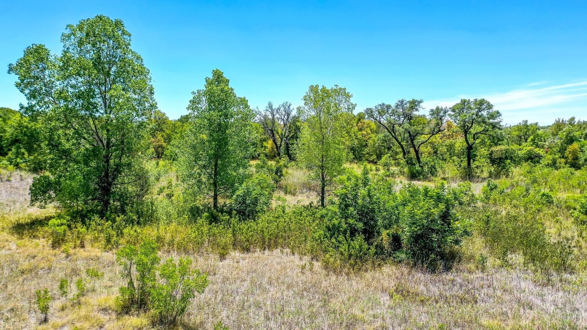 8.79 acres in Erath County - photo 11