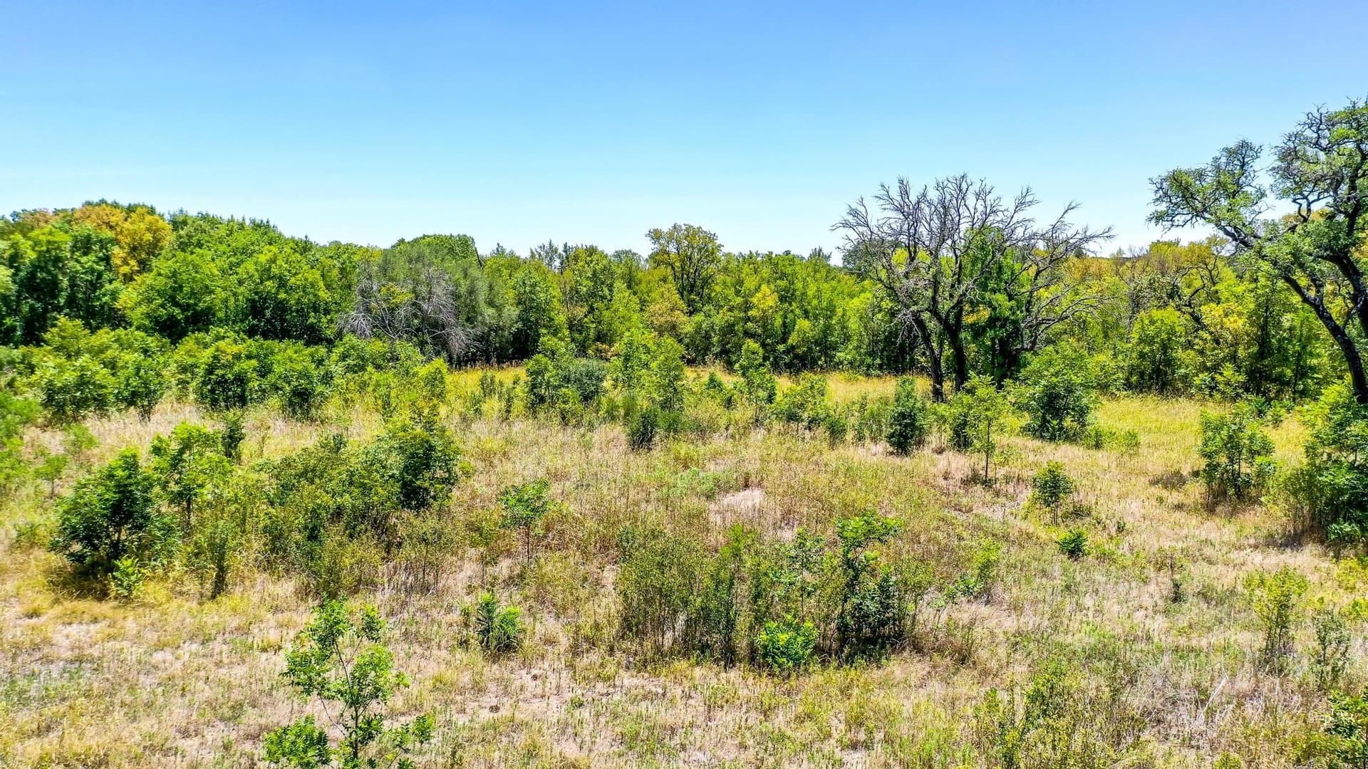 8.79 acres in Erath County - photo 12