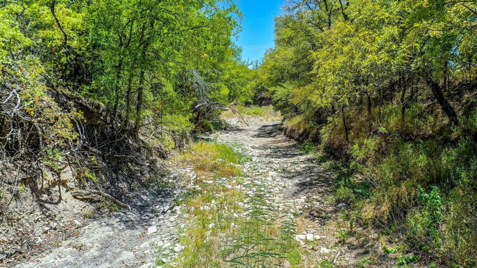 8.79 acres in Erath County - photo 8