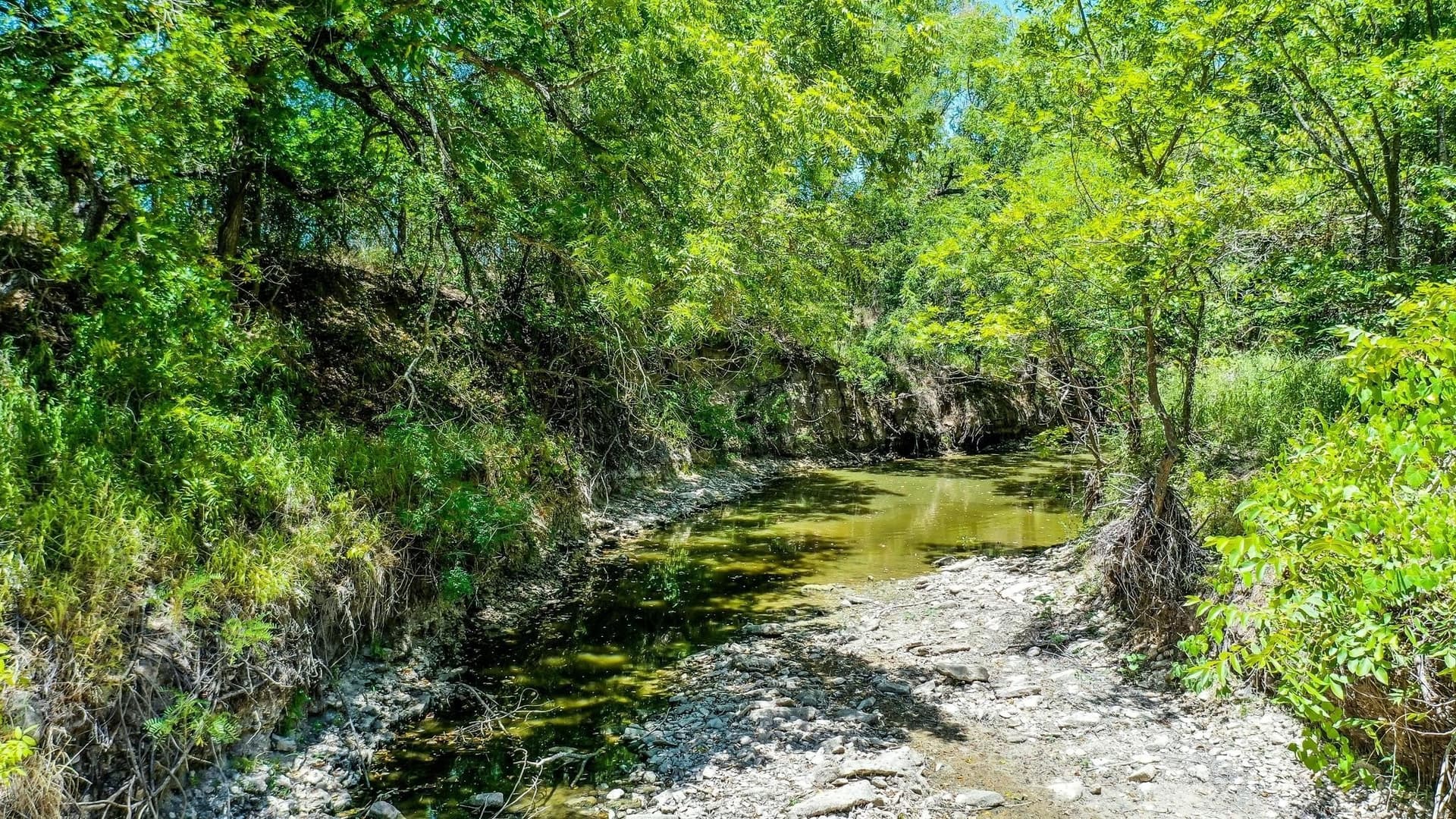 8.79 acres in Erath County - photo 10