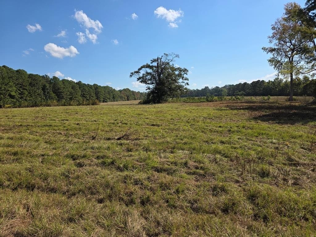 118.6 acres in Texas County - photo 8