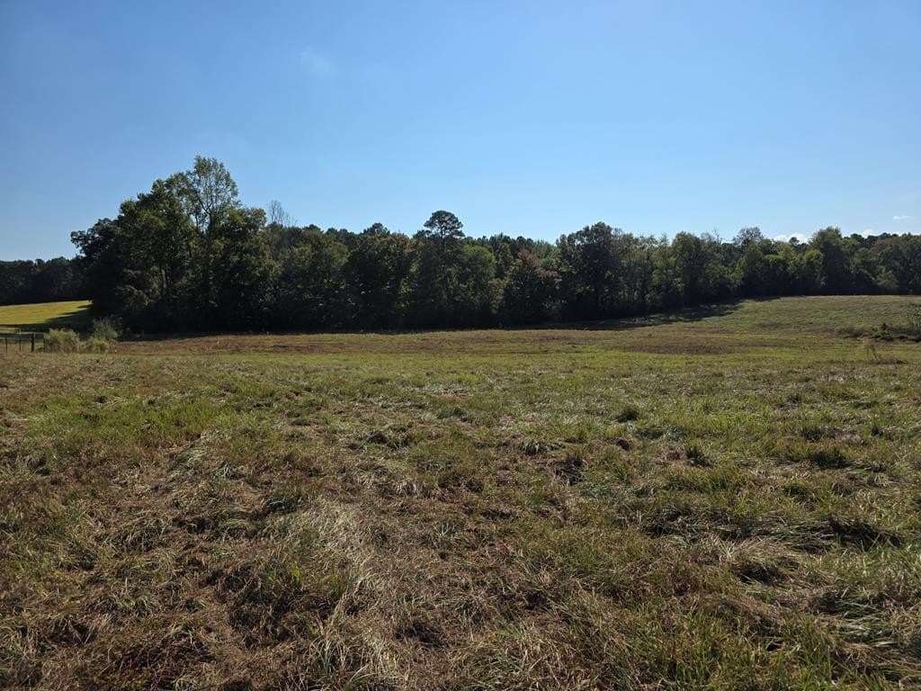 118.6 acres in Texas County - photo 26