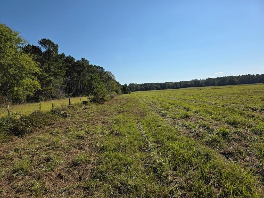 118.6 acres in Texas County - photo 25