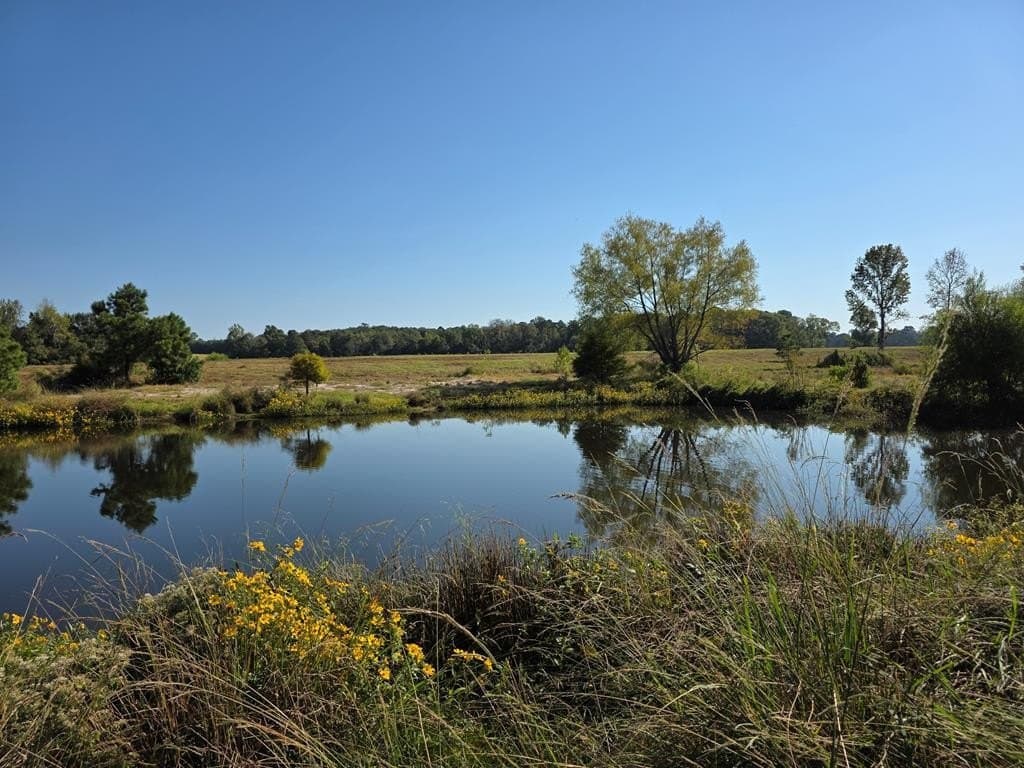 118.6 acres in Texas County