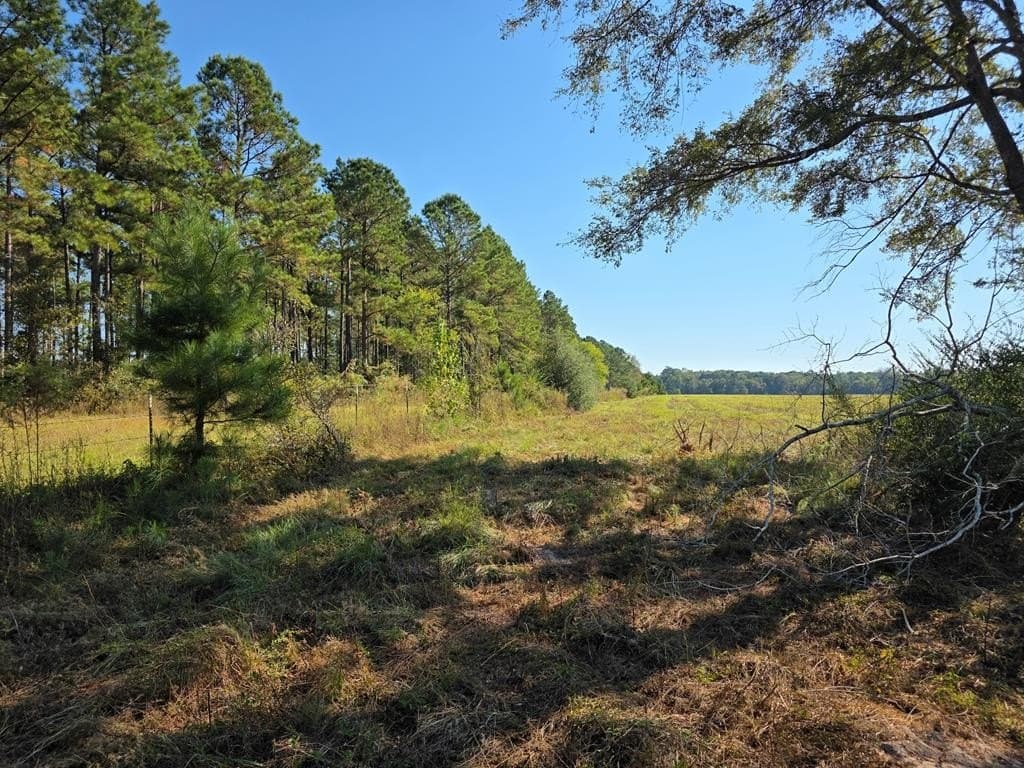 118.6 acres in Texas County - photo 24