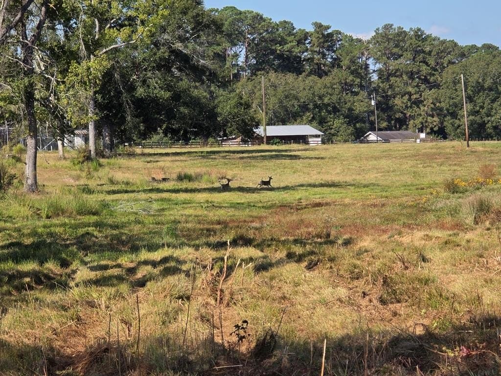 118.6 acres in Texas County - photo 32