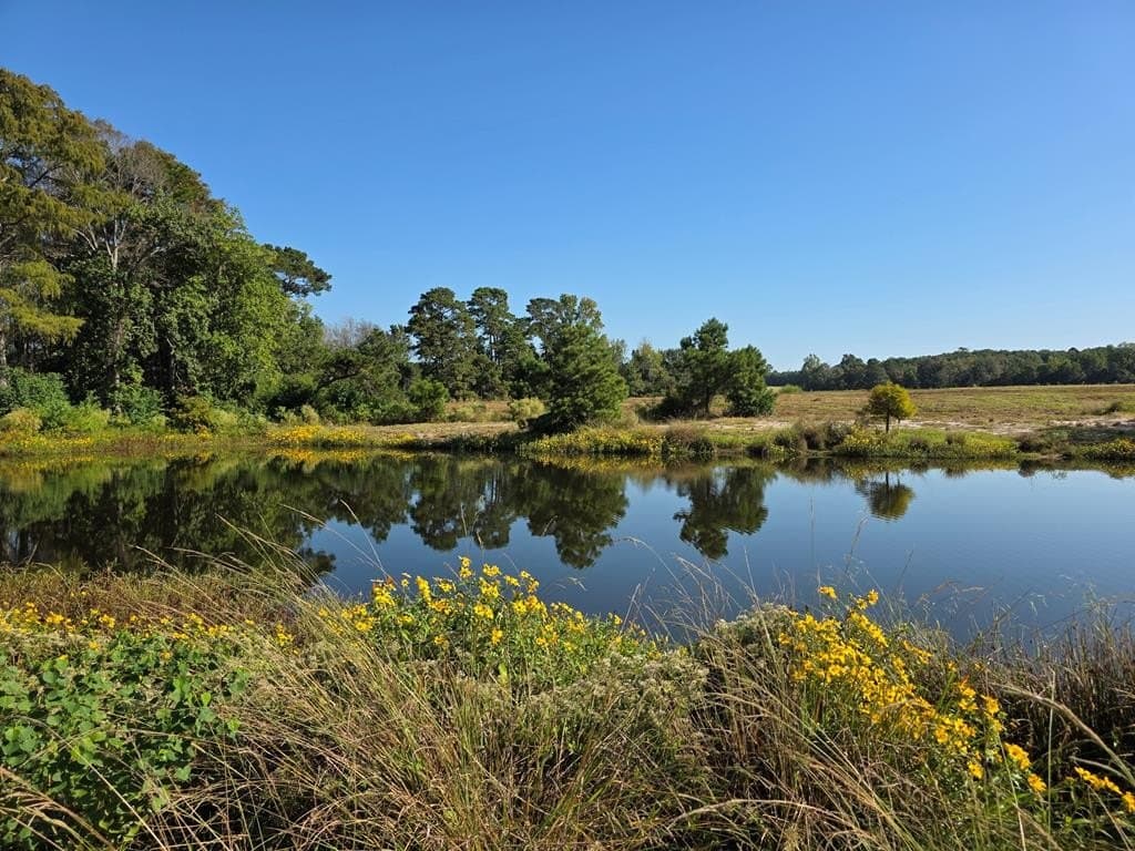 118.6 acres in Texas County - photo 20