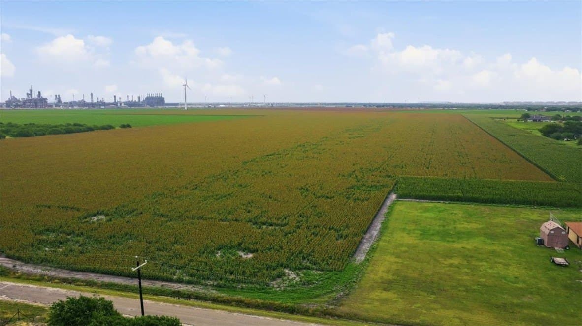 127.6 acres in San Patricio County gallery image 4