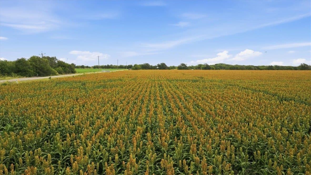 127.6 acres in San Patricio County