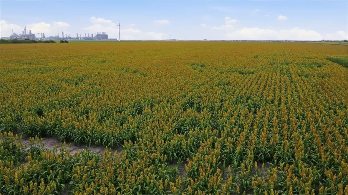 127.6 acres in San Patricio County gallery image 2