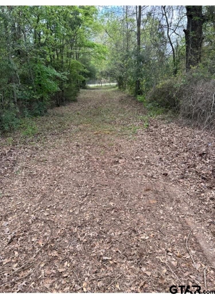 73.51 acres in Anderson County - photo 18