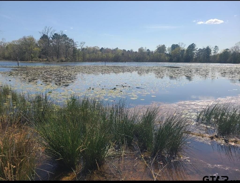 73.51 acres in Anderson County - photo 30