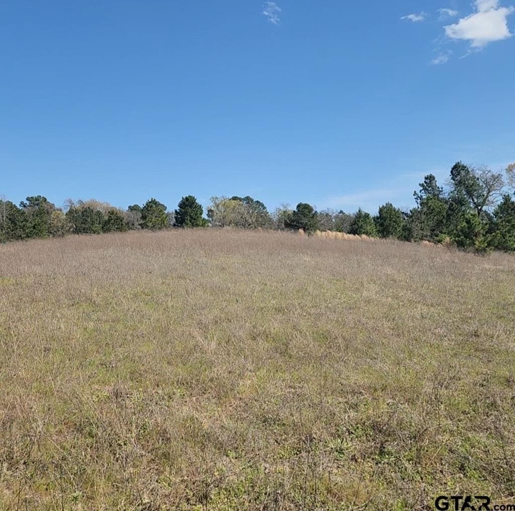 73.51 acres in Anderson County - photo 25