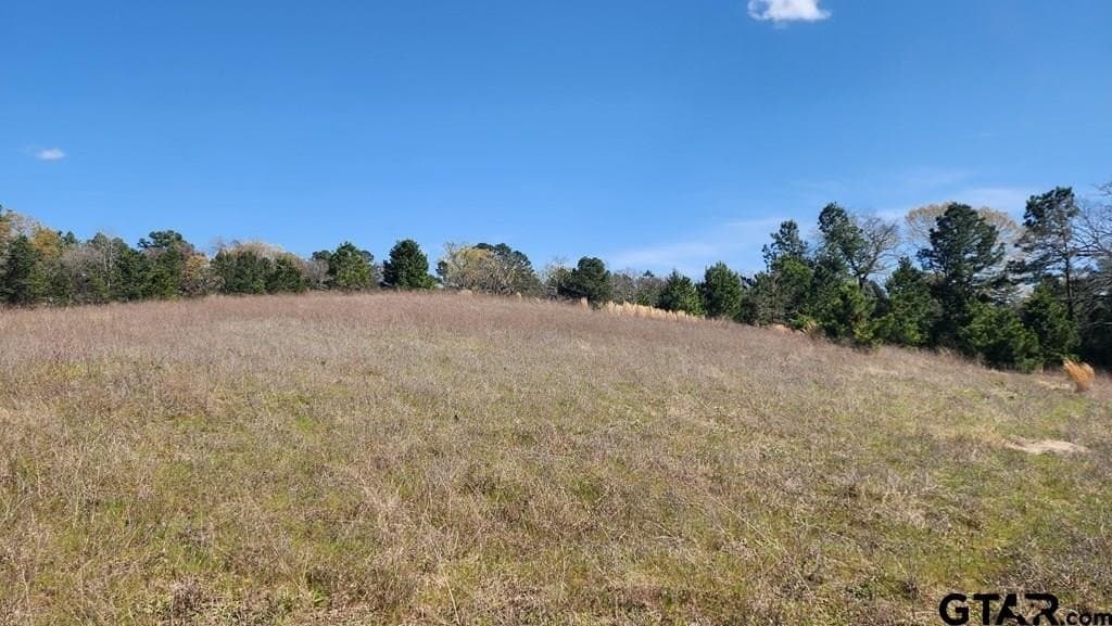 73.51 acres in Anderson County - photo 16