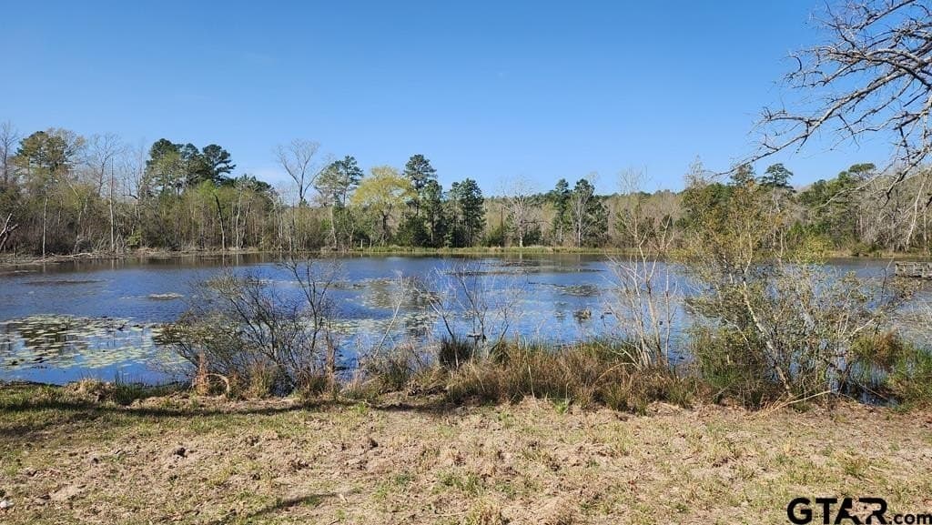 73.51 acres in Anderson County - photo 12