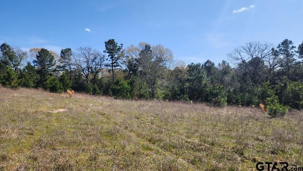 73.51 acres in Anderson County - photo 26