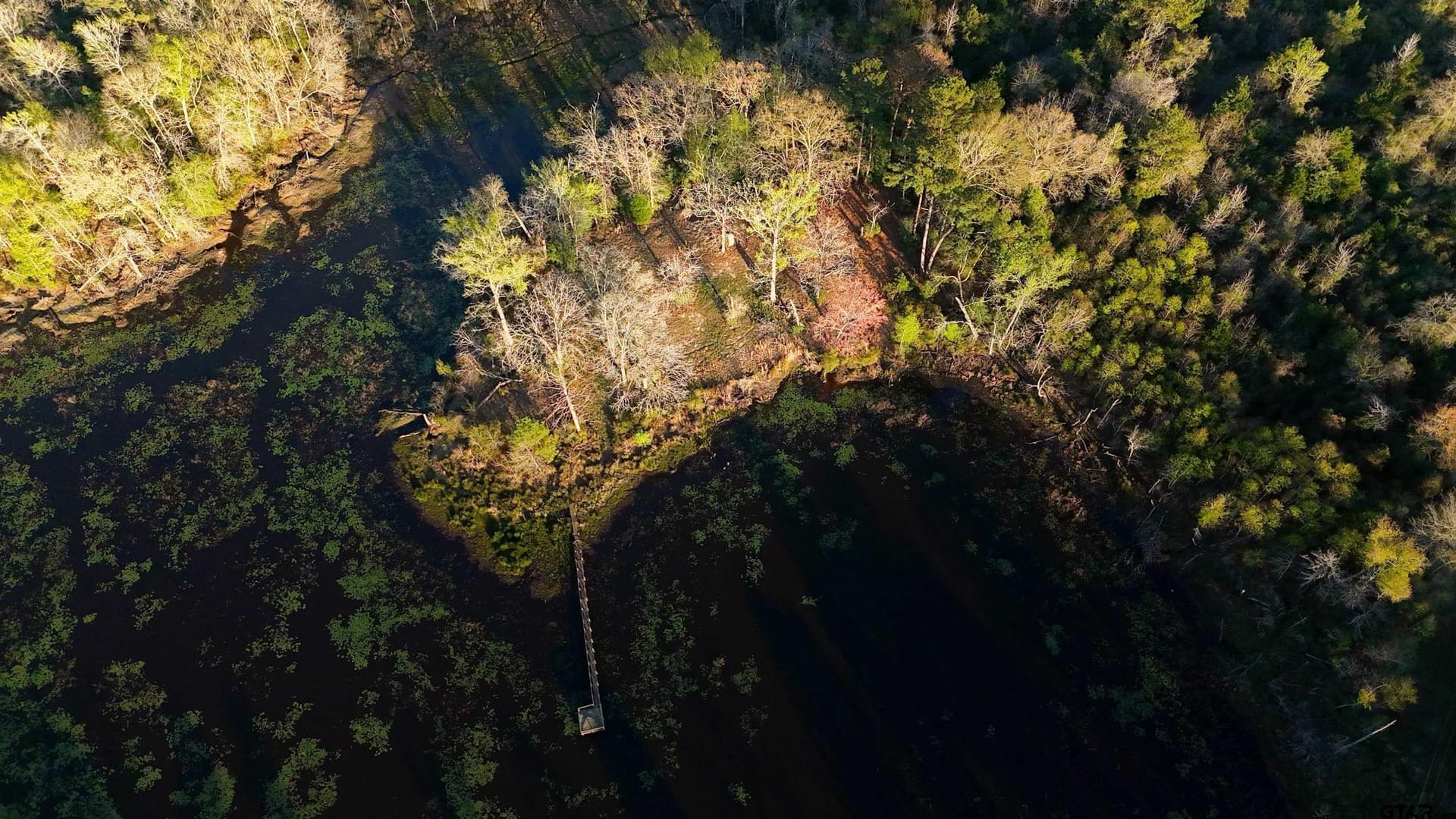 73.51 acres in Anderson County featured view