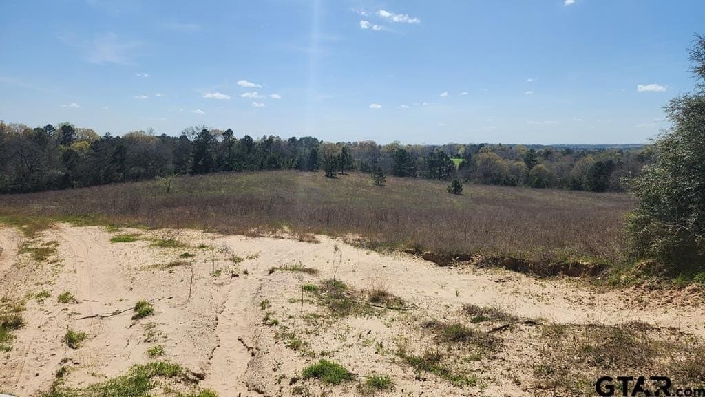 73.51 acres in Anderson County - photo 10