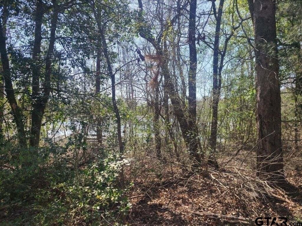 73.51 acres in Anderson County - photo 22
