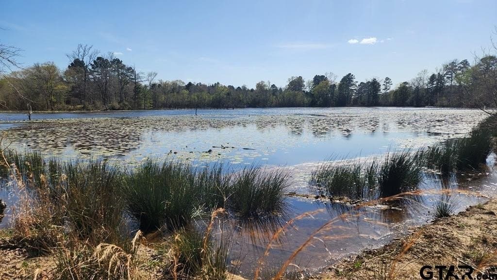 73.51 acres in Anderson County - photo 29