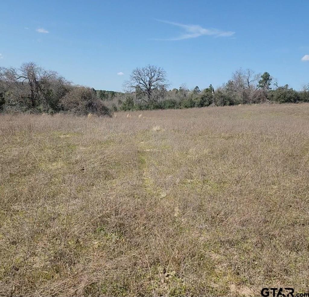73.51 acres in Anderson County - photo 8