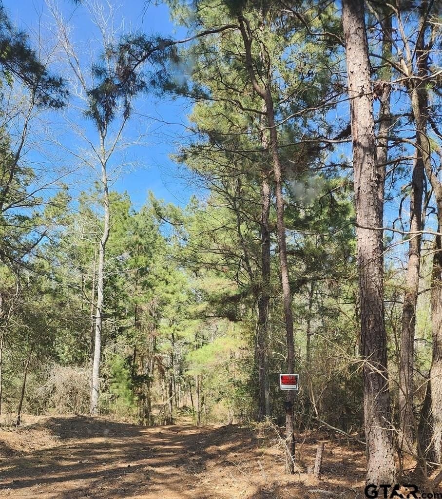 73.51 acres in Anderson County - photo 7