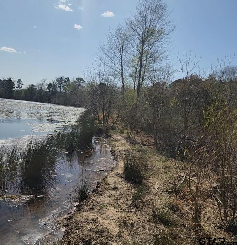 73.51 acres in Anderson County - photo 33