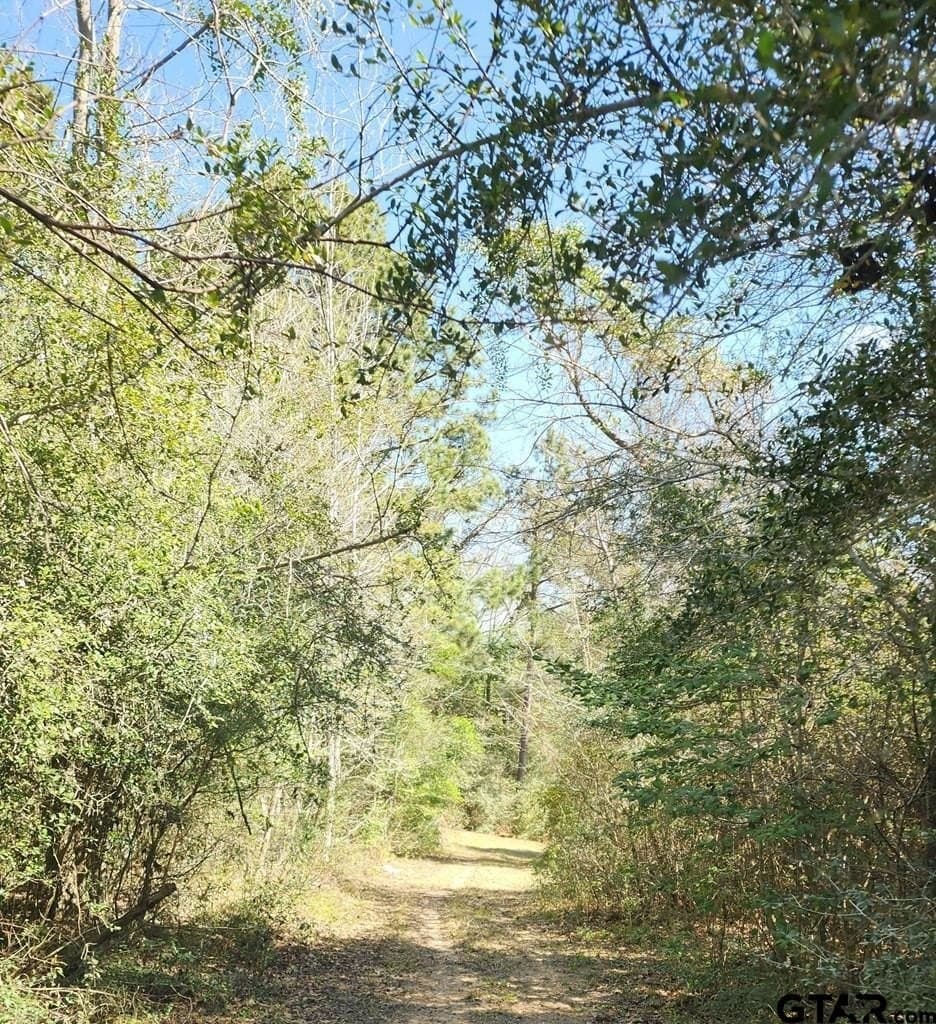 73.51 acres in Anderson County - photo 23