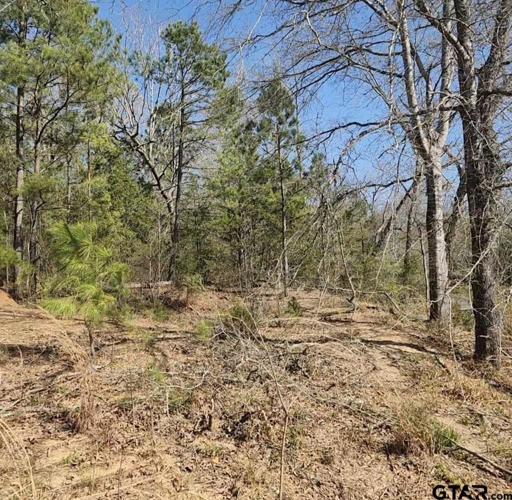 73.51 acres in Anderson County - photo 13
